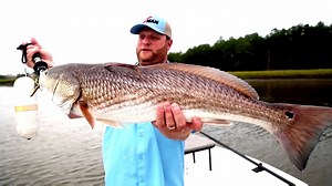 13K views · 188 reactions | Built upon a patent-pending keeper design that holds all types of plastics—ElaZtech®, Gulp!® and conventional soft plastics alike— securely in place, EZ KeeperZ weighted hooks’ barbed, U-shaped stainless clip allows for easy weedless rigging and ensures proper hook alignment for consistent lure action and hooksets, while minimizing tearing when used with more fragile non-ElaZtech soft baits. | Z-Man Fishing Products | Facebook