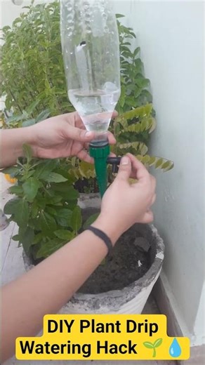DIY Plant Drip Watering Hack 🌱💧 | Automatic Watering Using Bottle #diywatering #dripirrigation