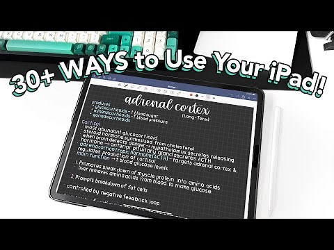 30+ WAYS to Use Your iPad! Tips for Productivity, Creativity & Organization