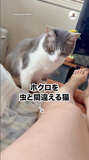 それ、虫ちゃう😂｜PECO