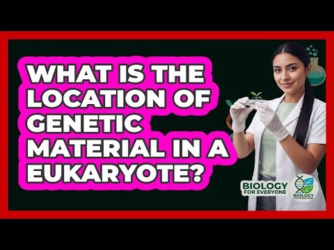 What Is The Location Of Genetic Material In A Eukaryote?