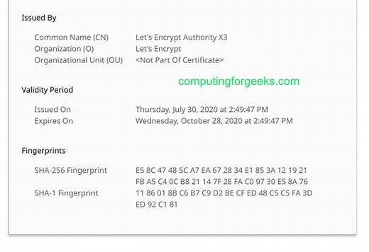 Using Let’s Encrypt Wildcard SSL Certificate with Nginx and Apache | ComputingForGeeks