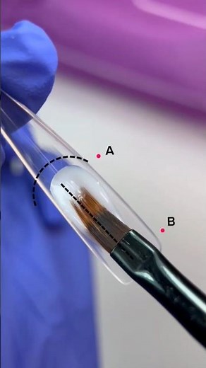 How To Build Perfect Nail Extensions Perfect Apex Placement For Strong Nails