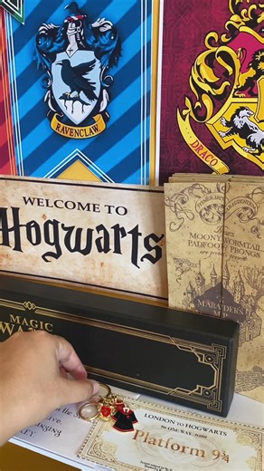 harry potter collection at its finest ✨🌸 #harrypotter #potterhead #keychain #collectibles #collection