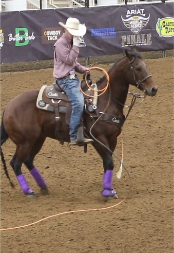 Team Roping Heading Tips for Beginners