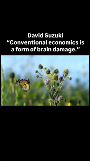 @climate.apocalypse on Instagram: "@davidsuzukifdn "The economists say, “If you clear-cut the forest, take the money, and put it in the bank, you can make 6%or 7%. If you clear-cut the forest, put it into Malaysia or Papua New Guinea, you can make 30% or 40%. So who cares whether you keep the forest? Cut it down. Put the money somewhere else. When those forests are gone, put it in fish. When the fish are gone, put it in computers. Money doesn’t stand for anything, and money now grown faster than