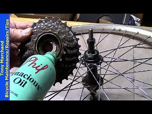 Freewheel Removal Cleaning Lubrication Overhaul