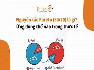 Nguyên tắc Pareto là gì? Cách áp dụng quy tắc 80/20 hiệu quả