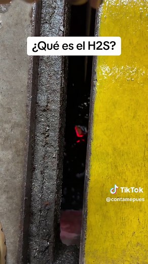 Precauciones ante el sulfuro de hidrógeno (H2S)