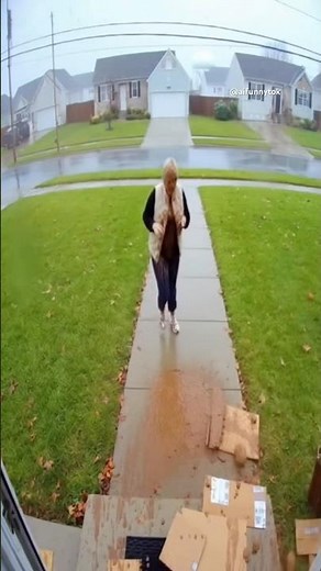 Exploding Surprise Stops Porch Pirates Cold #satisfying #fail #memes