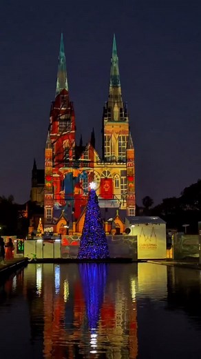 50K views · 1.6K reactions | ‼️Save this FREE Christmas experience to...