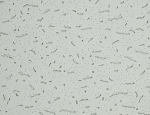 [Hot Item] White Color Mineral Wool Ceiling for Suspended Ceiling System