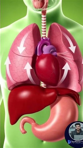 Kiya 🤔Hichkey Kisi ke yad krne se Aati he | Sarfaraz Visual” #3d #3danimation #science #facts
