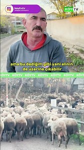 50 Bine'e Çoban Yok! #çoban #hayvancılık #köy