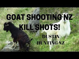 GOAT CULLING/SHOOTING NZ