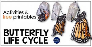 Butterfly Life Cycle Activities & Free Printables - Around the Kampfire