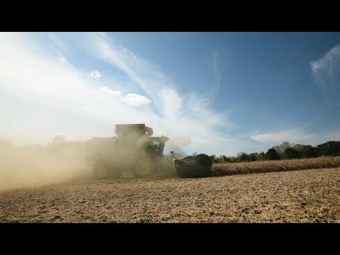Tariffs, trade war and woes for Wisconsin's soybean farmers | Here & Now