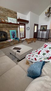 316K views · 10K reactions | This is just a small excerpt from...