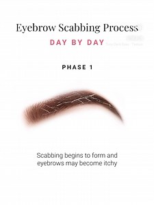 1.5K views | The scabbing process after an eyebrow treatment, such as...