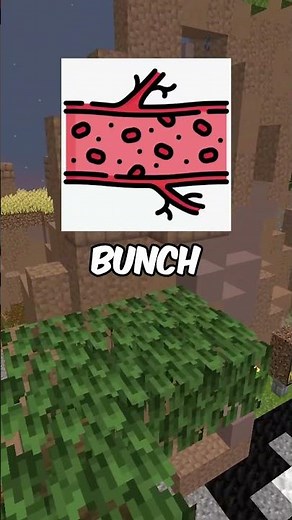 explaining every scp #76