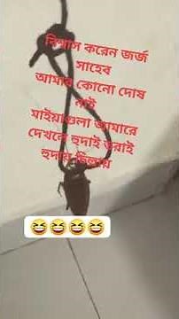 Free Online Video Downloader SaveFrom net 2