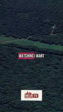 The Most Ghetto Cities in Louisiana That They Don’t Want You to Know About 😳🔥