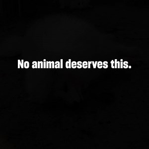 4.2K reactions · 546 shares | Born to suffer: Time is cruel to...