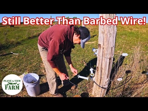 Electric Fence Repair: Fixing Broken Gates AND My Bargain Energizer!