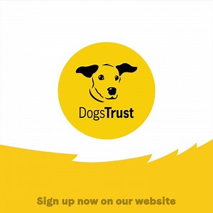 5.6K views · 101 reactions | Join us for our Doggy Paddle challenge starting 1st May and help raise funds for dogs in need   Open to all abilities  Swim 1 to 21 miles in 8 weeks  Get a free Dogs Trust swimming cap Sign up for free  https://bit.ly/3NjpqYW | Dogs Trust | Facebook