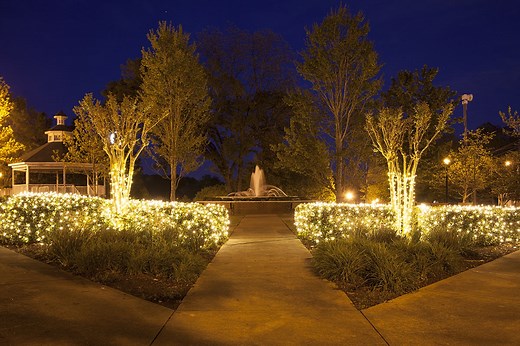 Net Lights Installation Guide - Christmas Lights, Etc