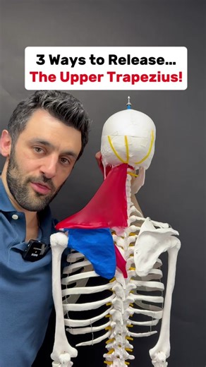 3 Effective Upper Trapezius Stretches for Pain Relief