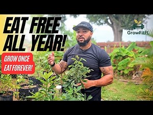 Top 3 Perennial Superfoods That Feed You Year-Round in Florida