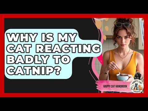Why Is My Cat Reacting Badly To Catnip? - Happy Cat Handbook