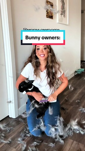 Finding the Perfect Home for Your Bunny Companion