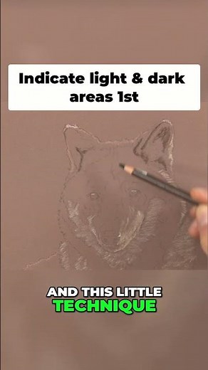 Animal Drawing Made Easy: Mastering Tonal Value