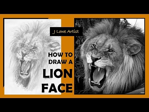 HOW TO DRAW A LION FACE STEP BY STEP FOR BEGINNERS: Graphite Drawing Tutorial for Beginners