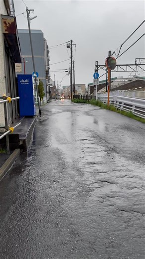 Afternoon walk in Akitsu, Tokyo | Tokyo pearl
