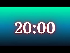 20 Minute Timer