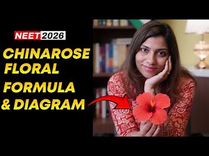 Malvaceae floral diagram with Hibiscus Flower