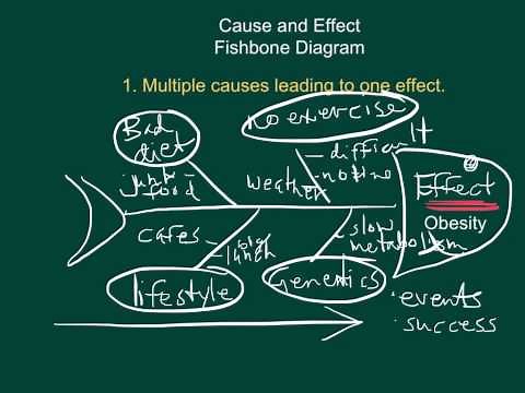 Cause and Effect Fishbone Diagrams