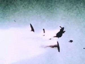 The Nike-Hercules Missile (1967)