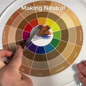 1.4K views · 37 reactions | ✨ THE FLESH TONE COLOR WHEEL by...