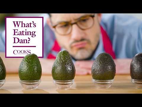 The Most Important Avocado Questions Answered | What’s Eating Dan?
