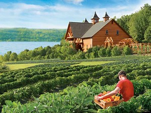 Wegmans Organic Farm and Orchard