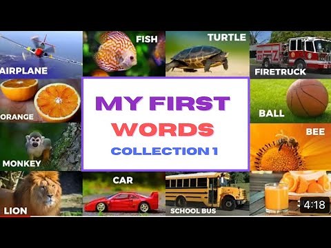 Sign Language for Kids Simple Words | Practice Basic Sign Language for Children