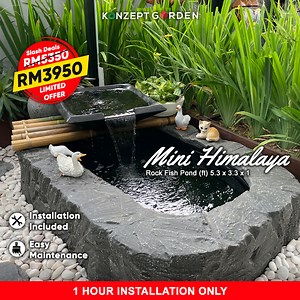 1M views · 1.1K reactions |  Slash Deals Alert!  A stunning fish...