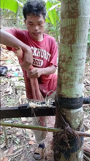 Abaca fiber making process 🌱🍌