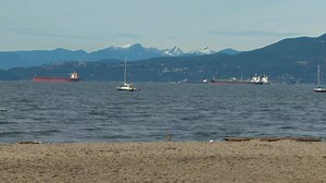 1.6M views · 20K shares | While we're all basking in this early...