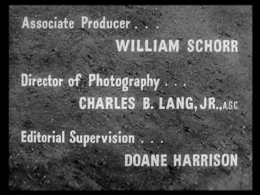 Ace in the Hole (1951) Director: Billy Wilder, Featuring Kirk Douglas, Jan Sterling, Robert Arthur, Porter Hall, Richard Benedict