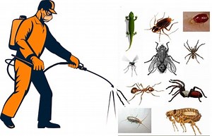 Pest Control License - Get License Consultants